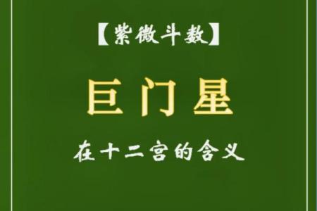 紫薇星辰斗数app