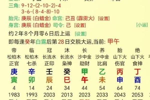 八字得势,命运通途,如何破解八字财、官、印、食神,解读Bazi指南 八字得势,命运通途,如何破解八字财、官、印、食神,解读Bazi指南