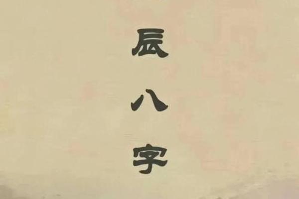 杨子八字