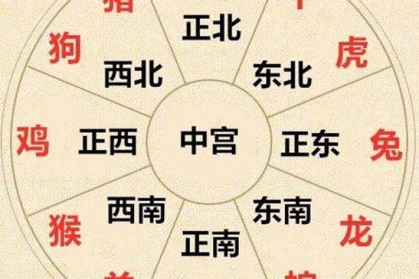 紫薇斗数举门宫 紫薇斗数举门宫