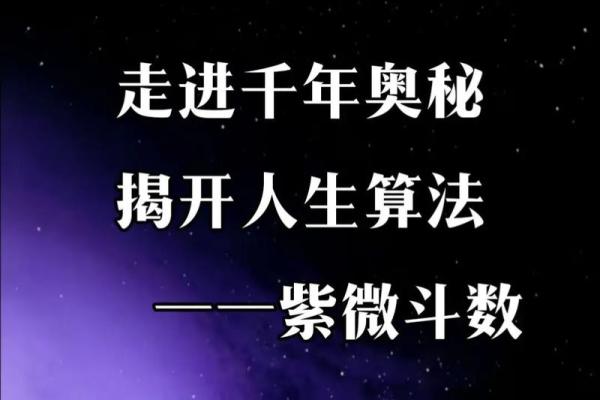 紫薇斗数疾恶擎羊 紫薇斗数疾恶擎羊
