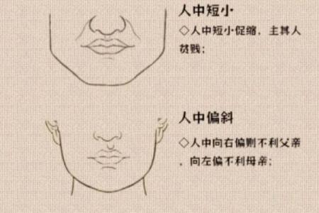 识人术：从八字五行看人的性情相貌