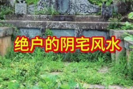 阴宅墓地的风水不好该怎么办