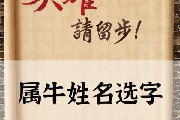 怎么样给下午5点出生的属牛男孩取名字好姓名