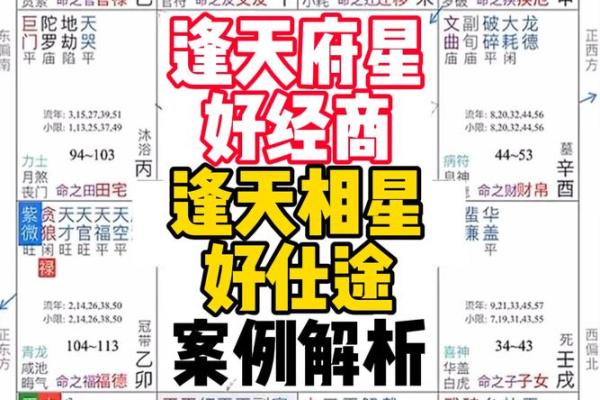 紫薇斗数看再婚 紫薇斗数看再婚