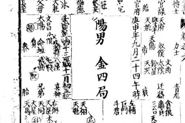 老鼠紫微斗数全书共几卷 老鼠 紫菀？