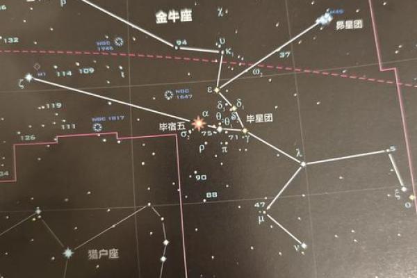 星座学：金牛座六月份的运势！独家详细分析！