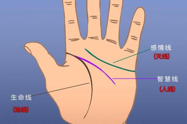 断掌手相算命说法及含义