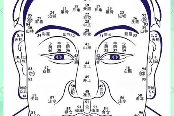 面相在线测试,在线扫一扫测面相