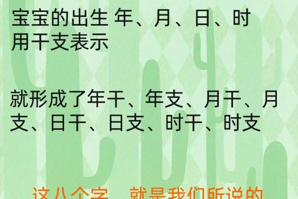 生辰八字宝宝起名软件 生辰八字宝宝起名软件