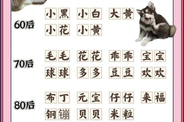 属狗未时出生的男孩应该如何起名，宜用哪些字姓名