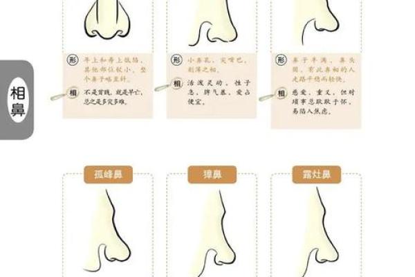 面相算命鼻子