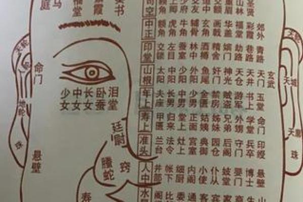 看相算命图解