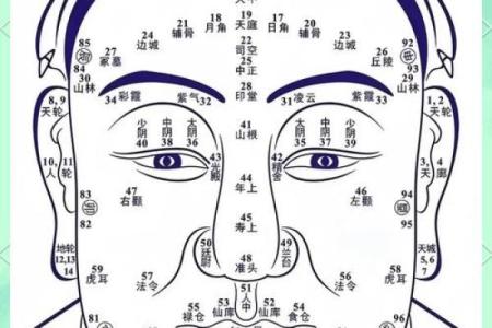 面相在线测试,在线扫一扫测面相