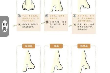 面相算命鼻子