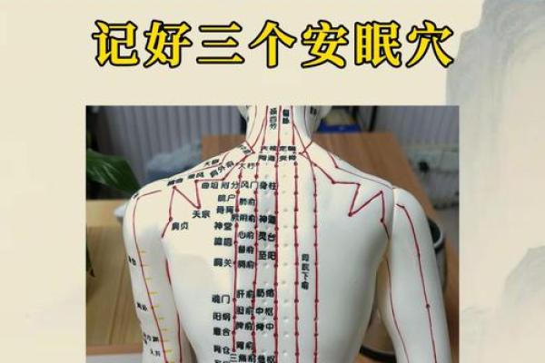 旺事业的格局,居家风水重睡眠 旺事业的格局,居家风水重睡眠