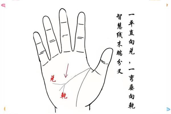图解-智慧线上有十字纹算命 图解-智慧线上有十字纹算命