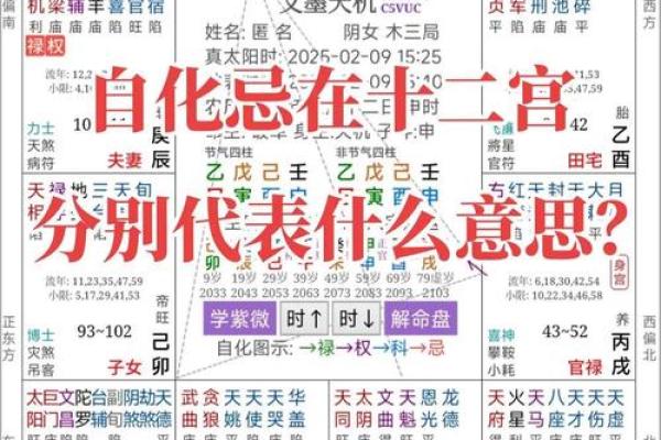 阴狠紫微斗数 紫微斗数的阴煞什么意思? 阴狠紫微斗数 紫微斗数的阴煞什么意思?