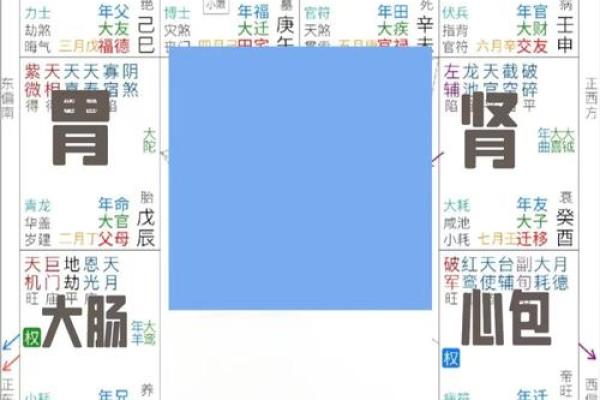 紫薇斗数体用宫