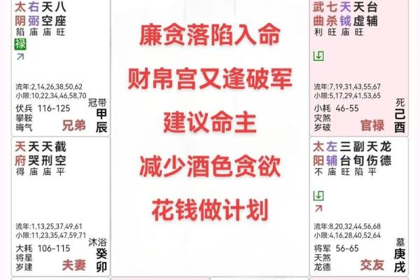 紫薇斗数主星性质：廉贞，天府，贪狼，巨门