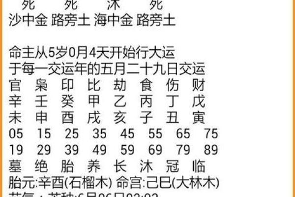 胎元八字 胎元八字