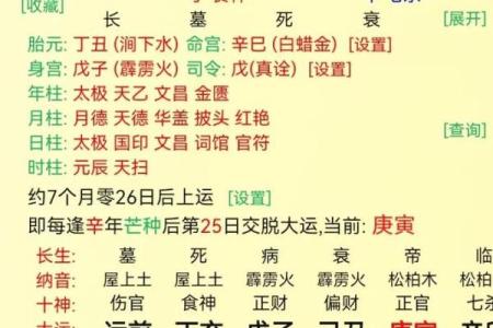 年柱食神是什么意思 八字有食神代表什么