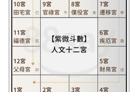 《紫微斗数》命盘解析可以运用哪些领域？