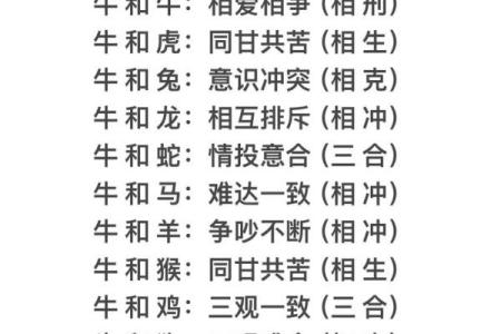 十二生肖算命婚姻配对准吗