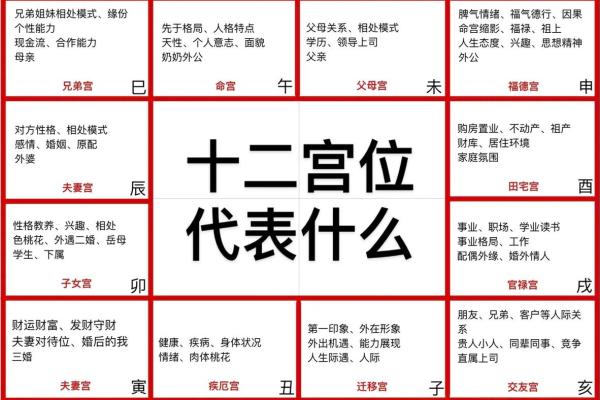 中洲派紫薇斗数