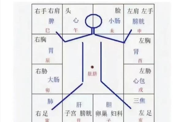 紫薇斗数平什么意思