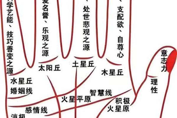 小指算命,小指的长度看你的性格和命运 小指算命,小指的长度看你的性格和命运