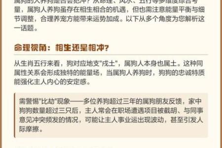 属狗农历三月十一算命