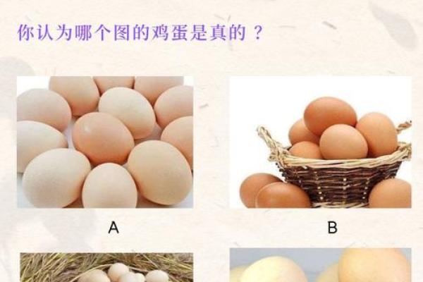 神准测试--选对行！适合你的工作种类是什么？