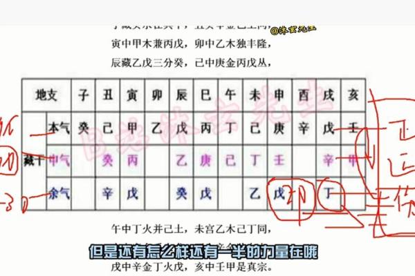 四柱八字基础知识,地支藏干的基本原理 四柱八字基础知识,地支藏干的基本原理