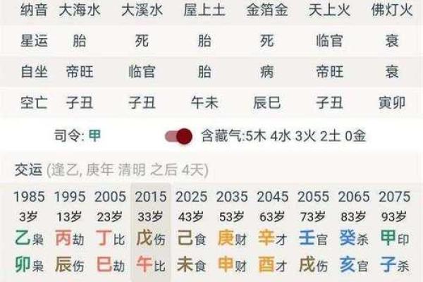 八字丁亥丙午大运