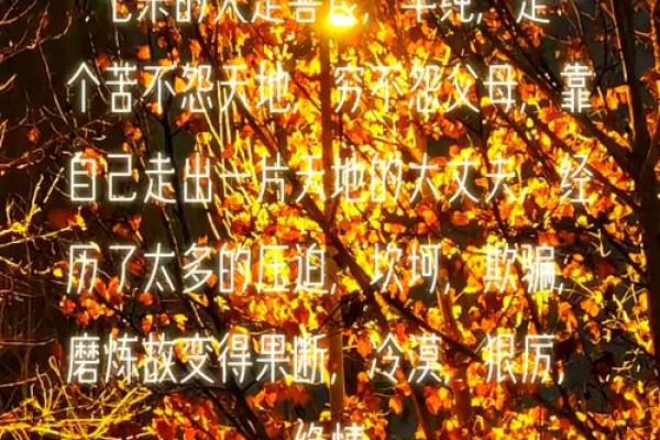 八字七杀的意思详解：流年逢七杀祸事多