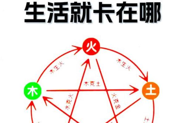 八字喜用神为木火适合职业