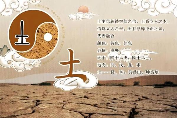 八字都是木和土合适从业哪些岗位