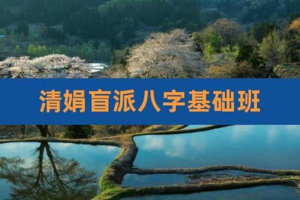 清娟盲派八字内部资料