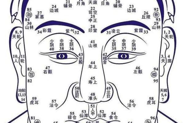 天生倒八字眉，眼角还下垂，这是小鱼干享之不尽的大富贵之相啊