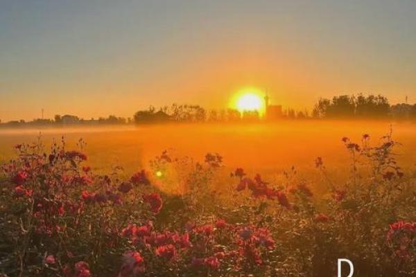 心理测试：第一眼你觉得哪个浪花最美？测你这一生的命运如何？