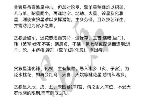 紫微斗数之贪狼星坐命宫 ，是什么意思？