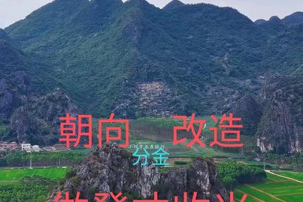 中国生基风水丰盛人生的追求 中国生基风水丰盛人生的追求