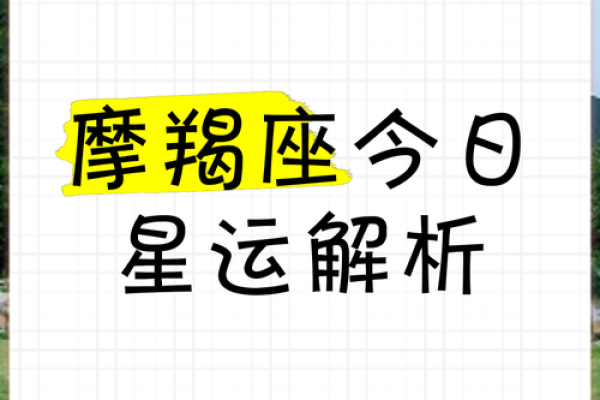 hint占星下周星座运势 hint占星下周星座运势