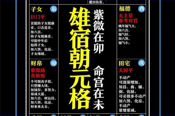 紫微斗数最上等格局 富贵格局 紫微斗数最上等格局 富贵格局