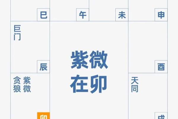 紫薇斗数中身迁 紫薇斗数中身迁