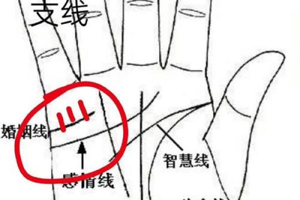 女性手掌感情线算命图解 感情线不清晰的人没有主见 女性手掌感情线算命图解 感情线不清晰的人没有主见