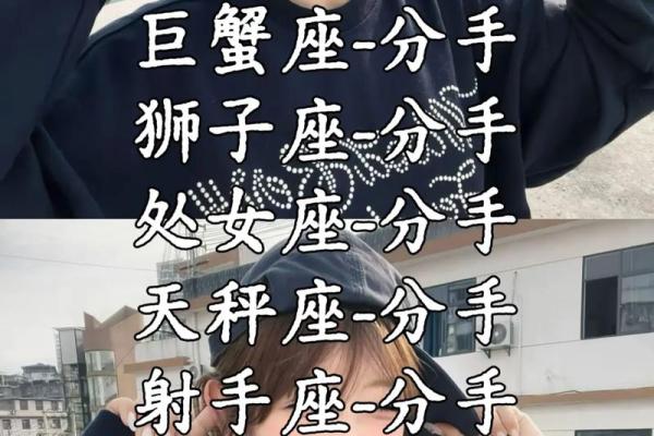 处女座和什么星座最配