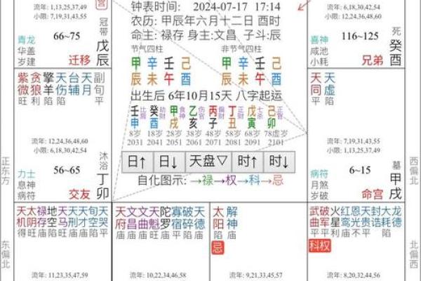 紫薇斗数用神详解
