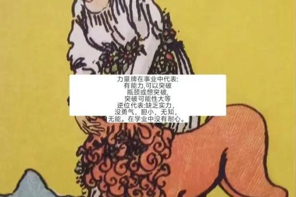 塔罗测试:怎样增强自己的事业运 塔罗测试:怎样增强自己的事业运